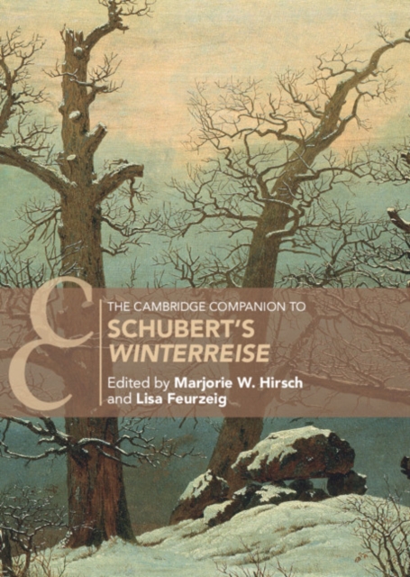 Cambridge Companion to Schubert's 'Winterreise', EPUB eBook