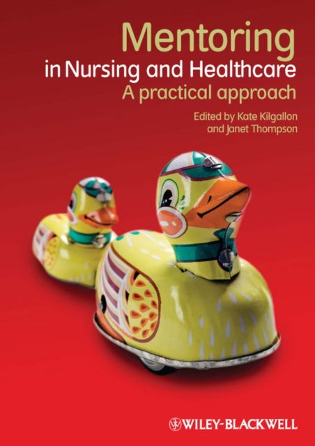 Mentoring in Nursing and Healthcare : A Practical Approach, EPUB eBook
