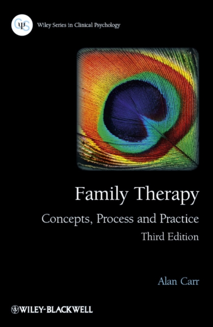 Family Therapy : Concepts, Process and Practice, EPUB eBook