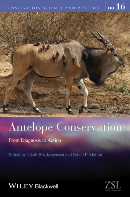 Antelope Conservation : From Diagnosis to Action, Paperback / softback Book