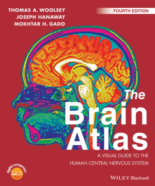 The Brain Atlas : A Visual Guide to the Human Central Nervous System, PDF eBook