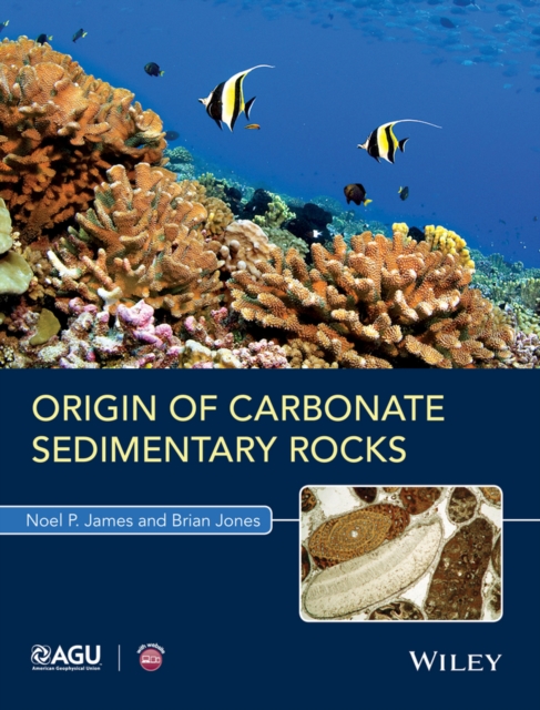 Origin of Carbonate Sedimentary Rocks, PDF eBook