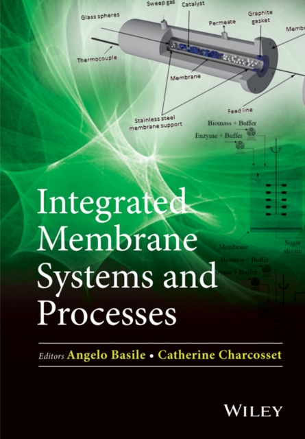 Integrated Membrane Systems and Processes, EPUB eBook