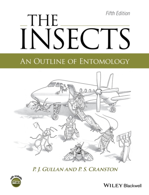 The Insects : An Outline of Entomology, Hardback Book