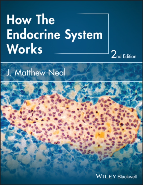 How the Endocrine System Works, Paperback / softback Book