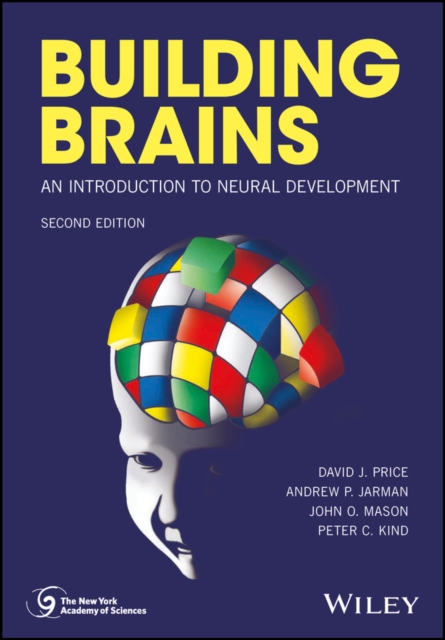 Building Brains : An Introduction to Neural Development, Paperback / softback Book