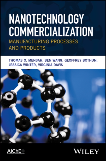 Nanotechnology Commercialization : Manufacturing Processes and Products, PDF eBook