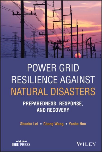 Power Grid Resilience against Natural Disasters : Preparedness, Response, and Recovery, EPUB eBook