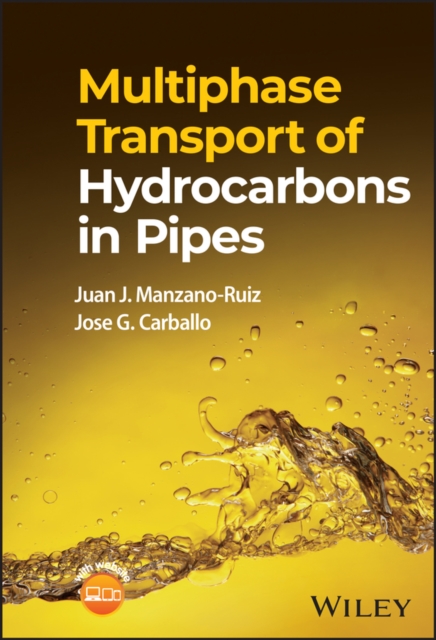 Multiphase Transport of Hydrocarbons in Pipes, Hardback Book
