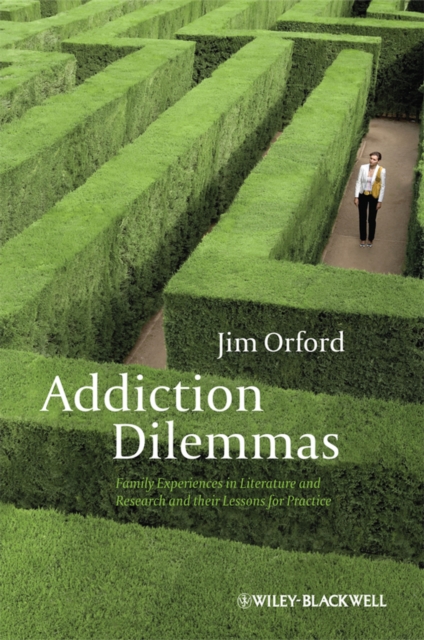 Addiction Dilemmas : Family Experiences from Literature and Research and Their Lessons for Practice, PDF eBook