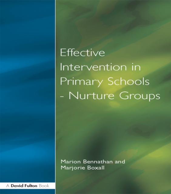 Effect Intervention in Primary School, EPUB eBook