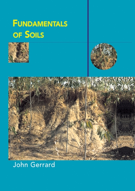 Fundamentals of Soils, PDF eBook