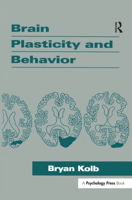 Brain Plasticity and Behavior, PDF eBook
