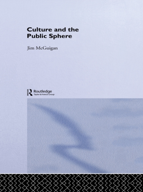 Culture and the Public Sphere, EPUB eBook