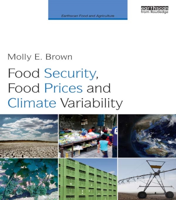 Food Security, Food Prices and Climate Variability, EPUB eBook