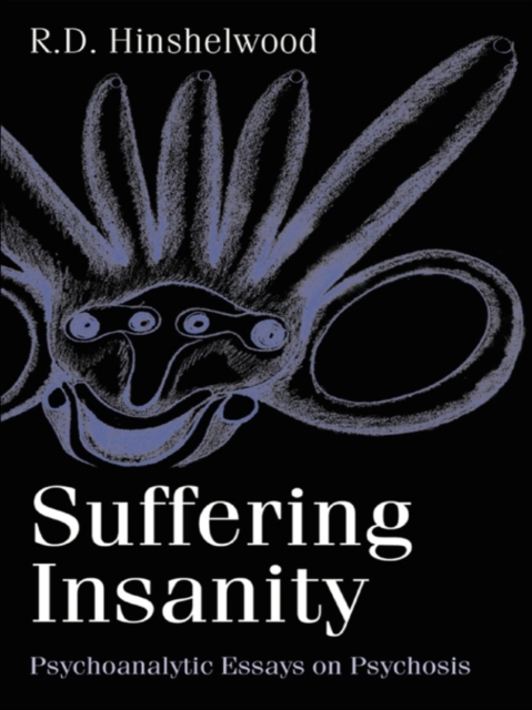 Suffering Insanity : Psychoanalytic Essays on Psychosis, PDF eBook