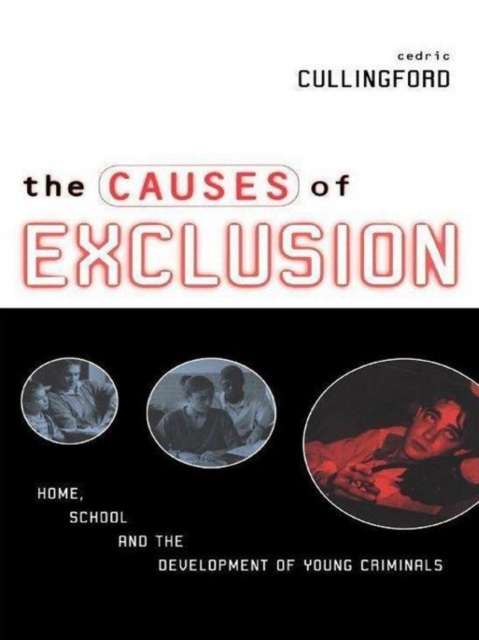 The Causes of Exclusion : Home, School and the Development of Young Criminals, EPUB eBook