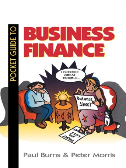 Pocket Guide to Business Finance, EPUB eBook
