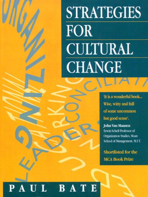 Strategies for Cultural Change, EPUB eBook