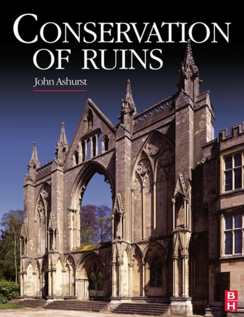 Conservation of Ruins, EPUB eBook