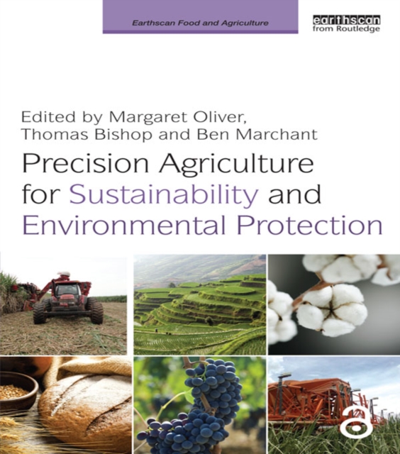 Precision Agriculture for Sustainability and Environmental Protection, EPUB eBook