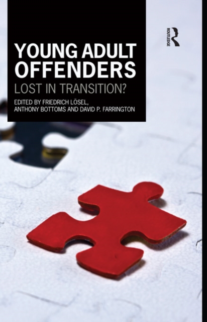 Young Adult Offenders : Lost in Transition?, EPUB eBook