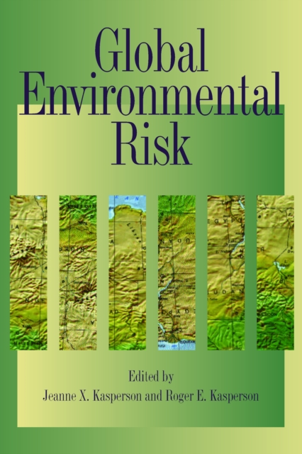 Global Environmental Risk, EPUB eBook