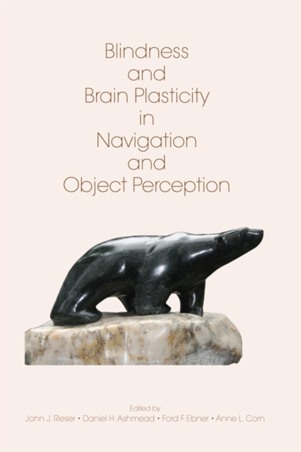 Blindness and Brain Plasticity in Navigation and Object Perception, EPUB eBook