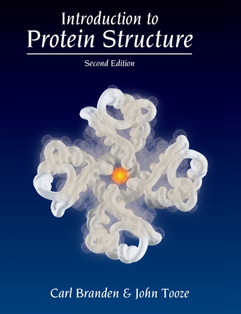 Introduction to Protein Structure, EPUB eBook