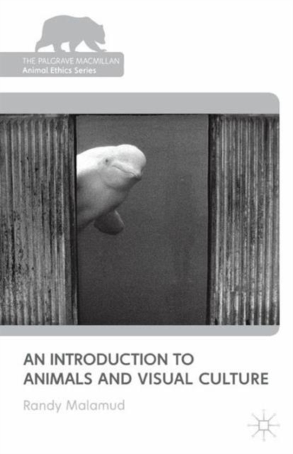 An Introduction to Animals and Visual Culture, Paperback / softback Book