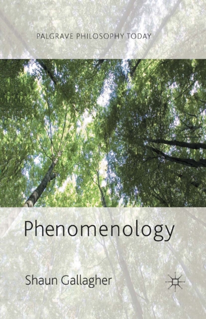 Phenomenology, PDF eBook