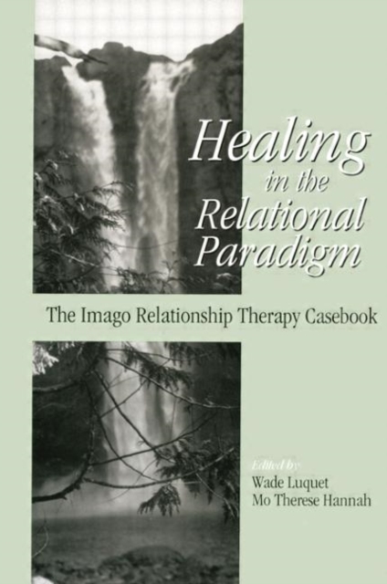 Healing in the Relational Paradigm : The Imago Relationship Therapy Casebook, Paperback / softback Book