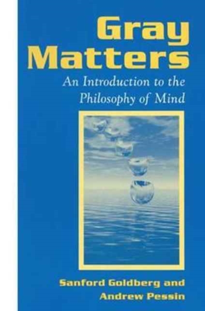 Gray Matters : Introduction to the Philosophy of Mind, Hardback Book