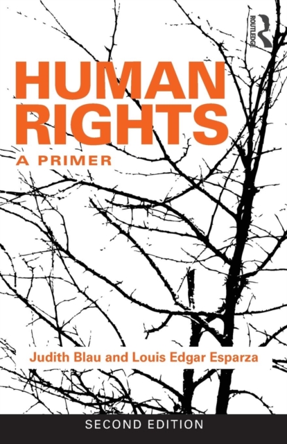 Human Rights : A Primer, Paperback / softback Book