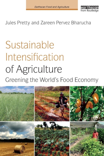 Sustainable Intensification of Agriculture : Greening the World's Food Economy, Paperback / softback Book