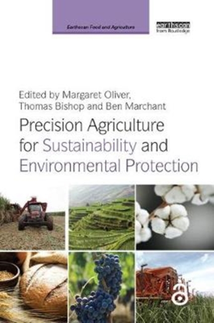 Precision Agriculture for Sustainability and Environmental Protection, Paperback / softback Book