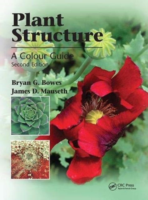 Plant Structure, Hardback Book