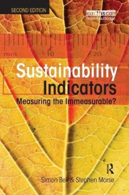 Sustainability Indicators : Measuring the Immeasurable?, Hardback Book