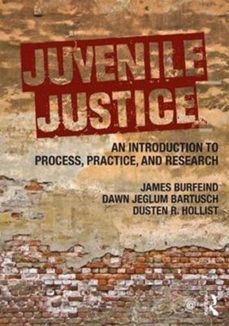 Juvenile Justice : An Introduction to Process, Practice, and Research, Paperback / softback Book