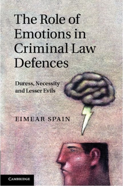 Role of Emotions in Criminal Law Defences : Duress, Necessity and Lesser Evils, PDF eBook