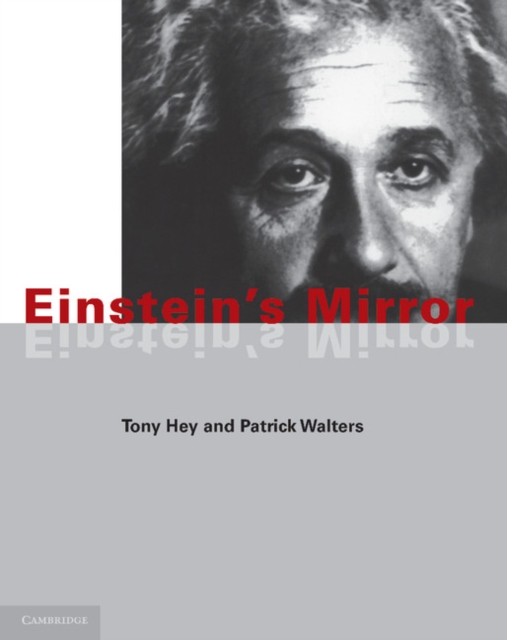 Einstein's Mirror, PDF eBook