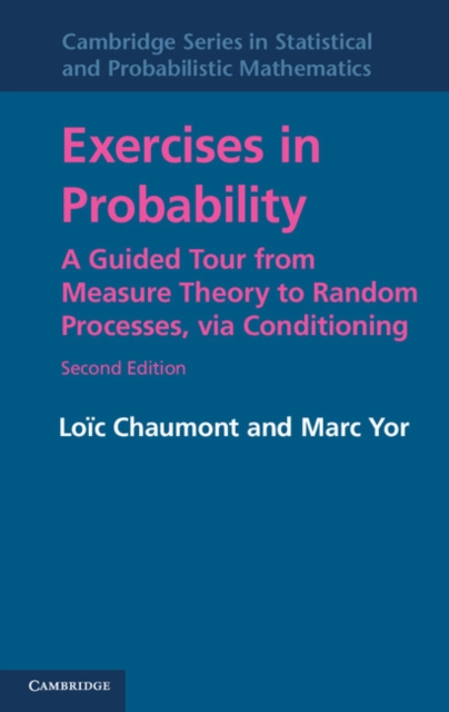 Exercises in Probability : A Guided Tour from Measure Theory to Random Processes, via Conditioning, PDF eBook