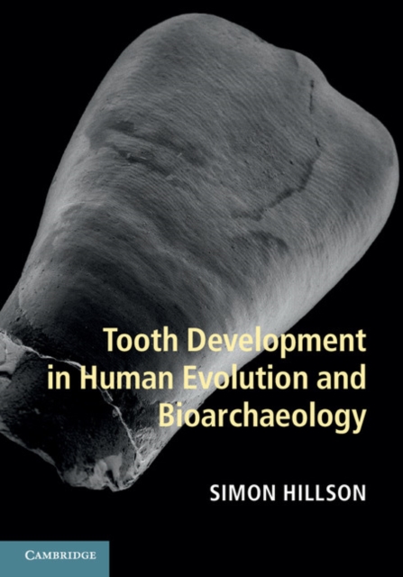 Tooth Development in Human Evolution and Bioarchaeology, PDF eBook