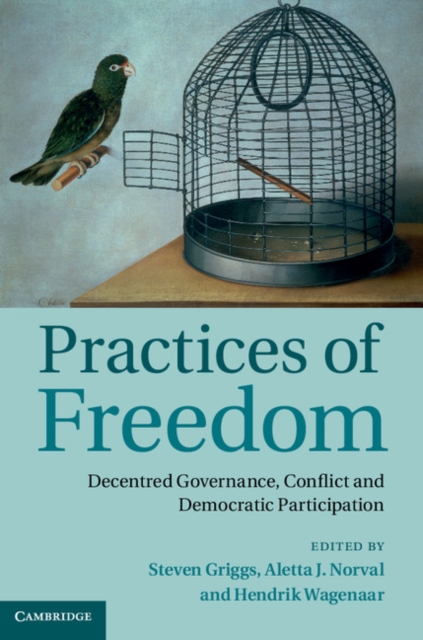 Practices of Freedom : Decentred Governance, Conflict and Democratic Participation, PDF eBook