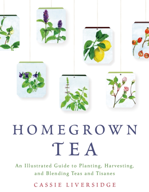 Homegrown Tea, Paperback / softback Book