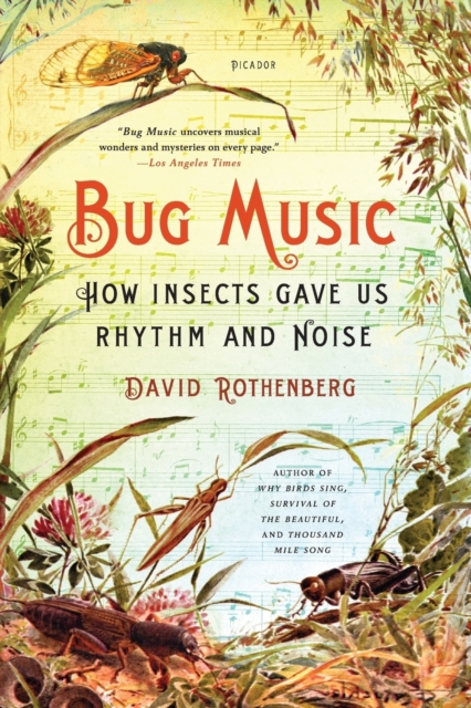 Bug Music, Paperback Book