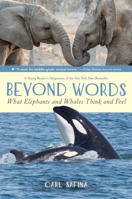 Beyond Words: What Elephants and Whales Think and Feel (A Young Reader's Adaptation), Paperback / softback Book