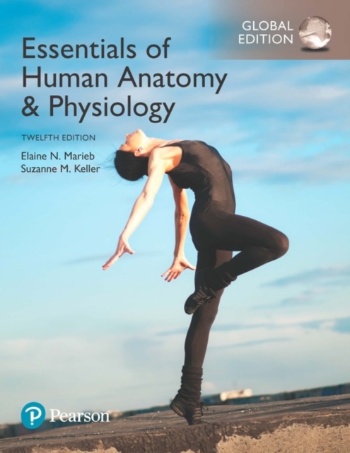 Essentials of Human Anatomy & Physiology plus Pearson Modified Mastering Anatomy & Physiology with Pearson eText, Global Edition, Multiple-component retail product Book