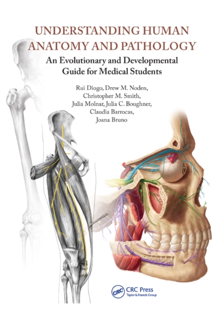 Understanding Human Anatomy and Pathology : An Evolutionary and Developmental Guide for Medical Students, PDF eBook