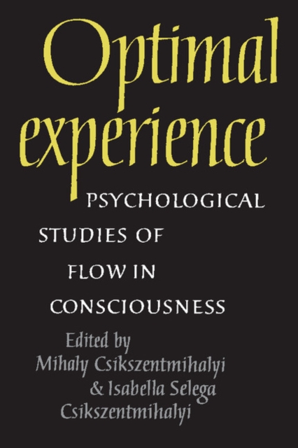 Optimal Experience : Psychological Studies of Flow in Consciousness, PDF eBook